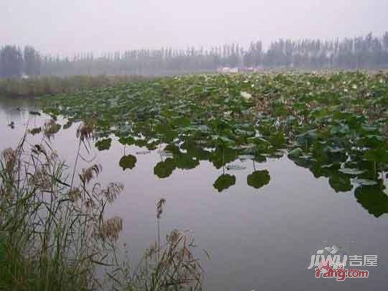 利海郑东LOHAS配套图图片