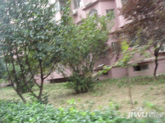 中国(郑州)化工物流园实景图图片