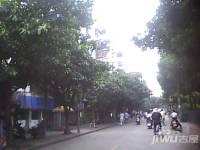 上海西新村小区图片