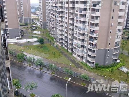 福湾新城夏雨苑A区实景图图片