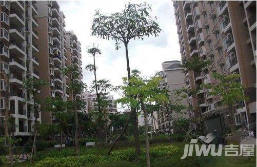 福湾新城夏雨苑A区实景图图片