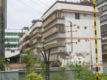 商地花园实景图图片