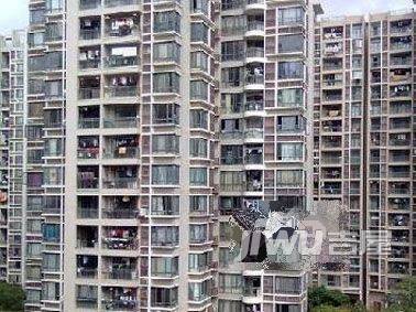 大儒世家滨江HOUSE实景图图片