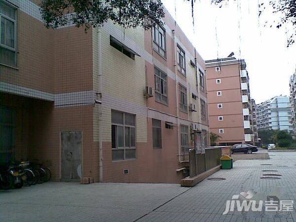 南台新苑玫瑰园实景图图片