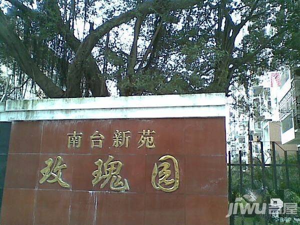 南台新苑玫瑰园实景图图片