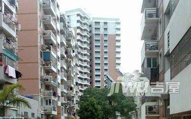 南台新苑玫瑰园实景图图片