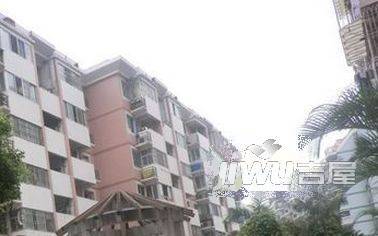 南台新苑玫瑰园实景图图片