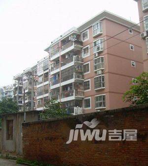 南台新苑玫瑰园实景图图片