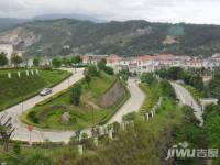 居住主题丹枫白鹭实景图图片