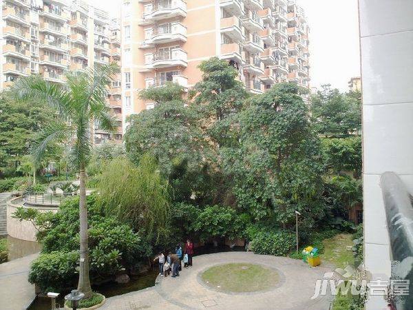 九龙城实景图图片