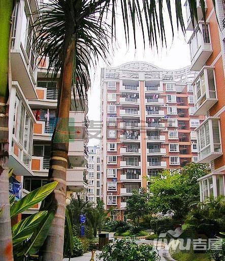 九龙城实景图图片