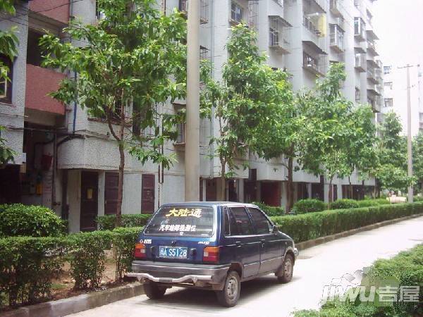 高校新村实景图图片