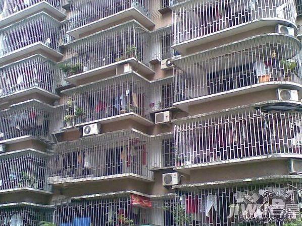 万佳馨苑实景图图片
