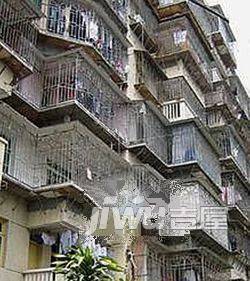 三八新村实景图图片
