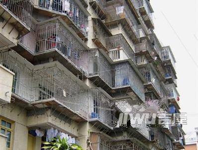 三八新村实景图图片