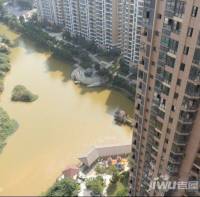 江南水都悦湖实景图图片