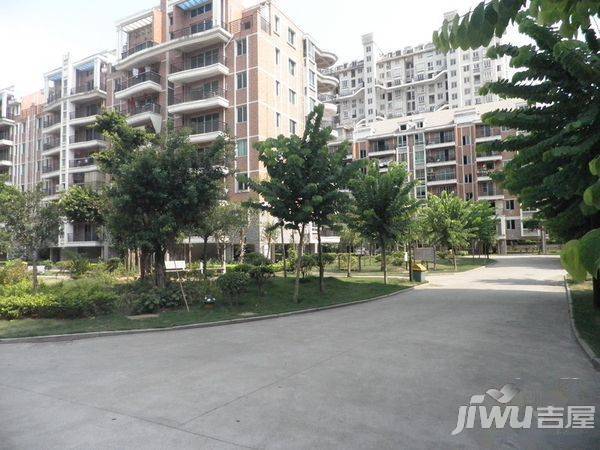 金山桔园一期龙苑实景图图片
