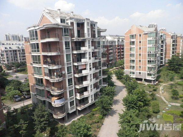 金山桔园一期龙苑实景图图片
