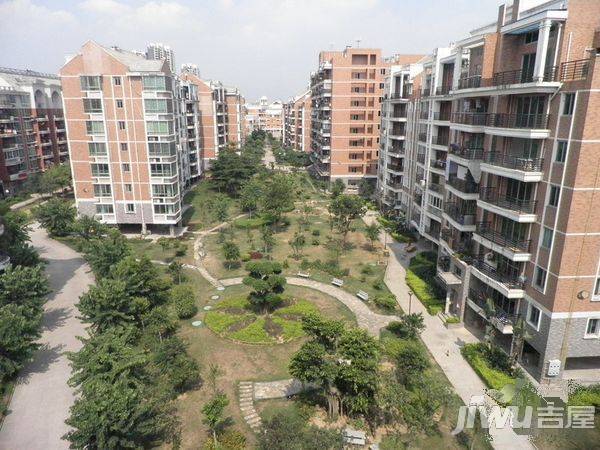 金山桔园一期龙苑实景图图片