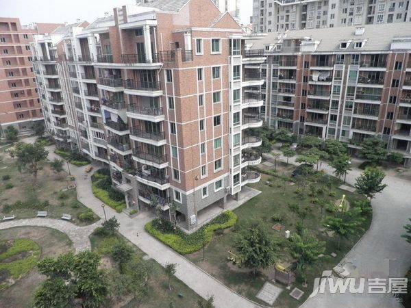 金山桔园一期龙苑实景图图片