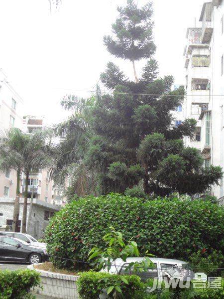 金银城广场实景图图片