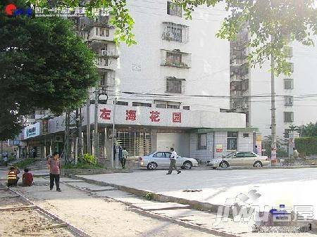 左海花园实景图图片