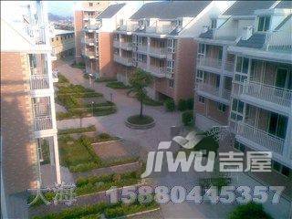 中山鸿景苑实景图图片
