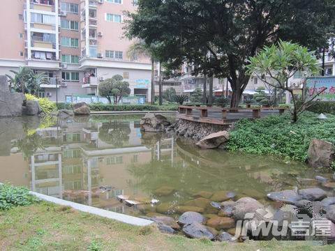 碧水芳洲 水云天实景图14