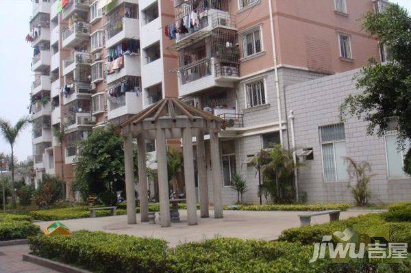 南台新苑莲花园实景图图片