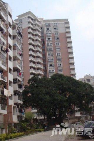 南台新苑莲花园实景图图片
