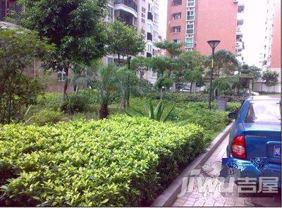 名湖豪门实景图图片