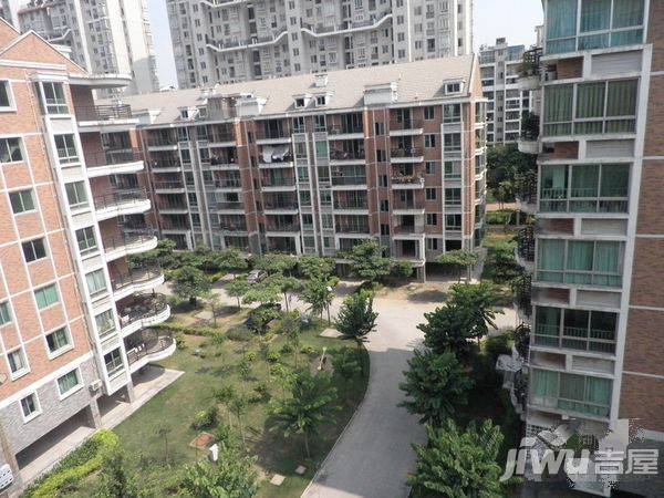 金山桔园一期龙苑实景图图片