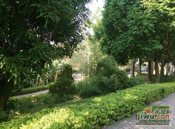 荣和山水美地实景图图片