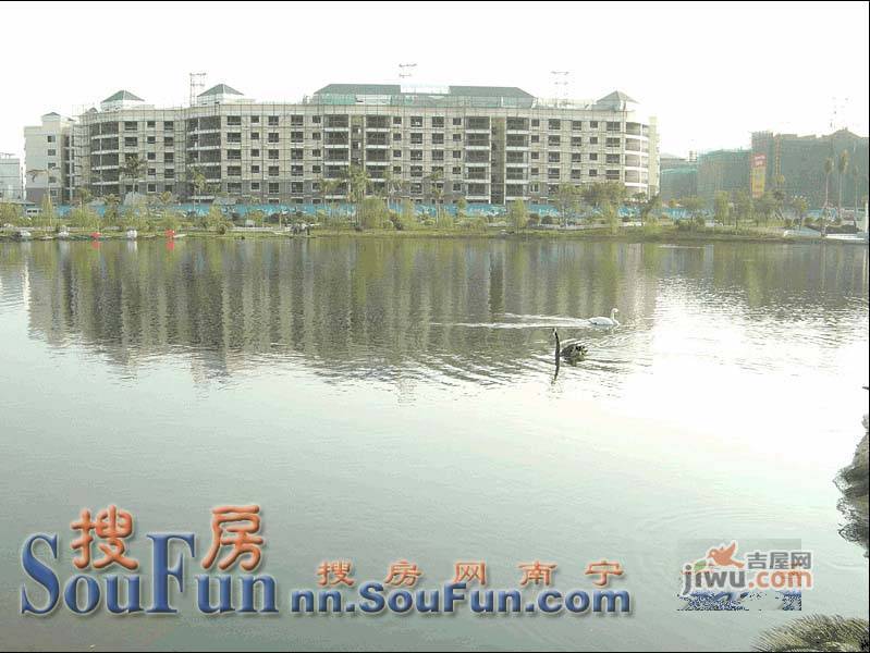 翠湖新城实景图图片