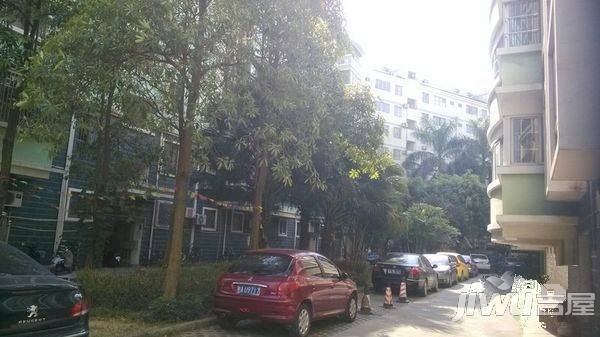 竹青苑实景图图片
