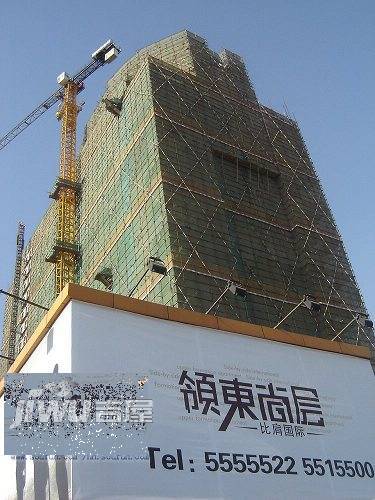 领东尚层实景图图片