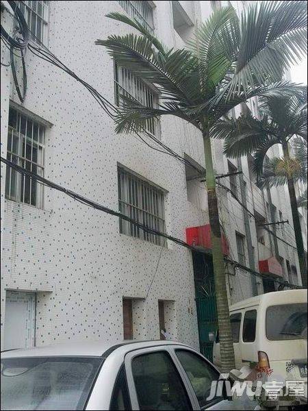 星湖花园实景图图片