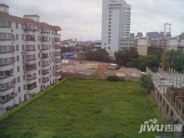 紫金阁实景图图片
