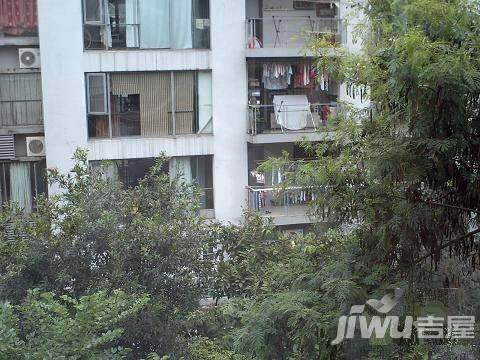半山丽园实景图图片