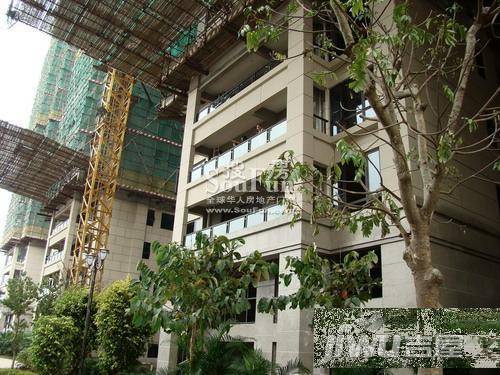 盛天熙园实景图图片