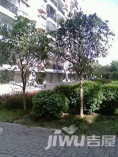 丽江花园实景图图片