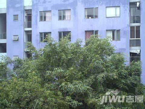 半山丽园实景图图片