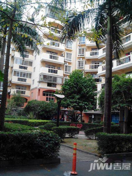 集美都市新村实景图图片