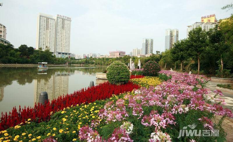 丰泽SOHO实景图图片