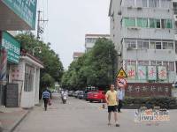 翠竹北区实景图图片