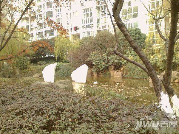 新天地花苑实景图图片