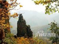 阳湖花园度假村实景图图片