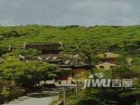 阳湖花园度假村实景图图片