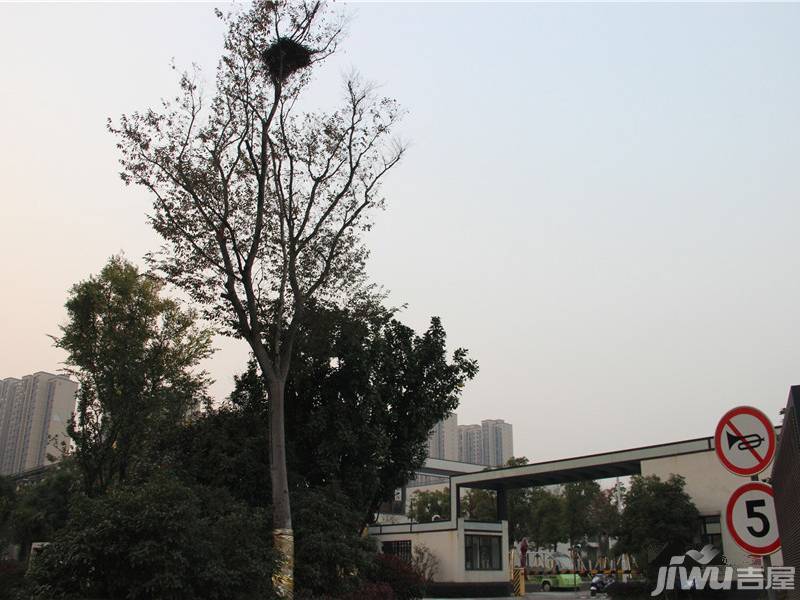 水韵江南实景图图片