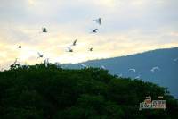 山屿湖实景图图片